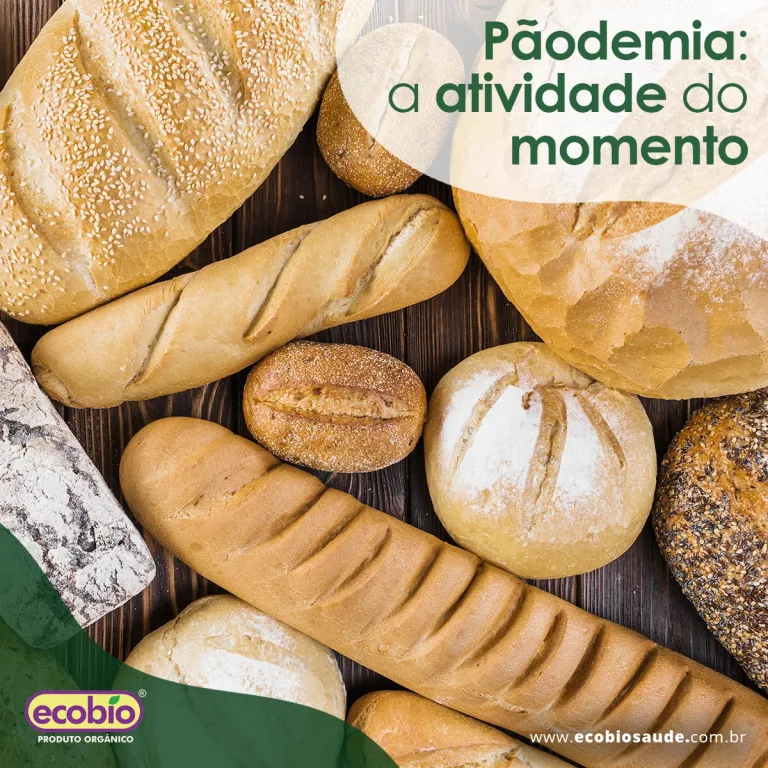 Pãodemia: a atividade do momento